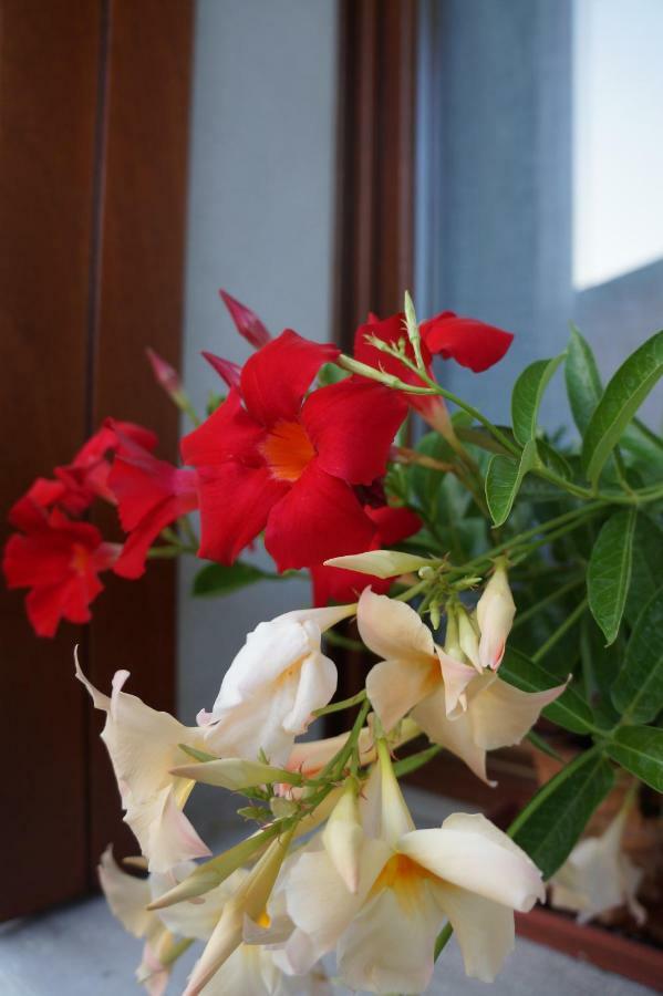 La Brigata Apartments Suite Room Cavallino-Treporti Exteriér fotografie